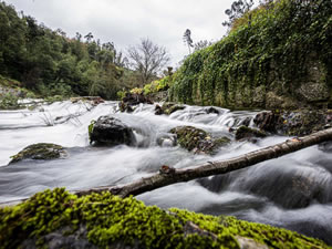 Retiro Natureza Monverde