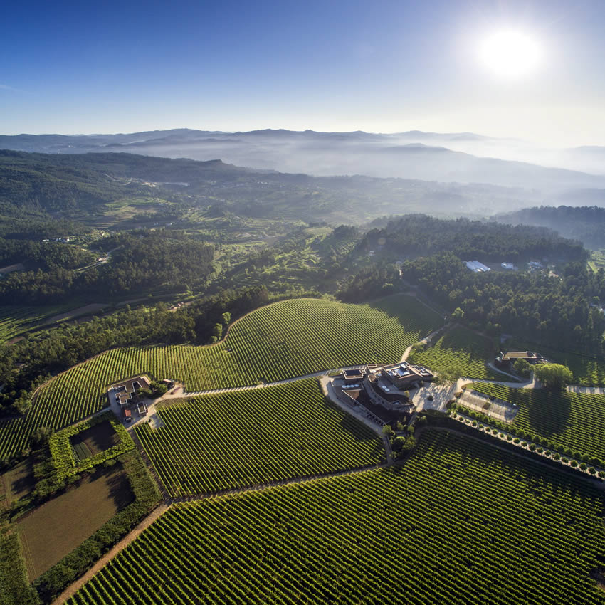 Monverde - Wine Experience Hotel